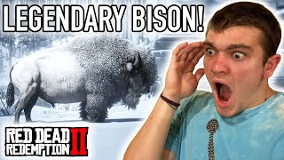 HUNTING THE LEGENDARY WHITE BISON Red Dead Redemption Pt20  Kendall Gray [upl. by Stokes]