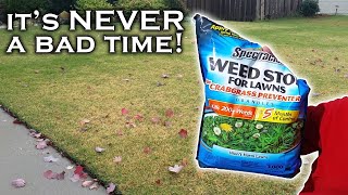 It’s not too late to prevent weeds Spectracide Weed Stop PreEmergent can help if you use it right [upl. by Hajidahk]