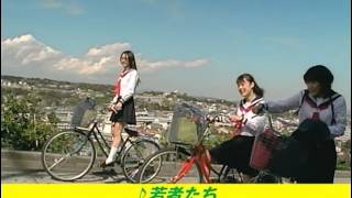 Japanese Commercials  127  suntory cc lemon [upl. by Geerts]