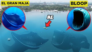 Drone Catches GIANT EL GRAN MAJA amp GIANT BLOOP IN REAL LIFE EL GRAN MAJÁ OCEAN [upl. by Cordeelia]