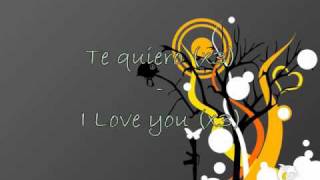 Stromae  Te Quiero  Lyrics on screen French  English [upl. by Nyleuqaj289]