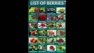 List of Berries  Names With Pictures  English Vocabulary StartFromScratch [upl. by Winton]