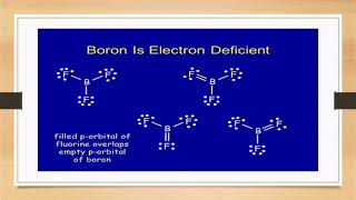 BS BOTANY  bonding in electron deficient compound  AMMARAH ISHTIAQ [upl. by Aynuat]