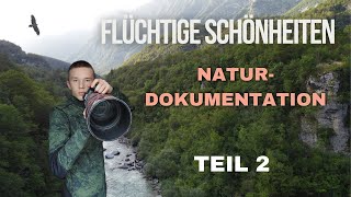 In den Bergen Sloweniens  Naturdokumentation  Flüchtige Schönheiten [upl. by Doty]