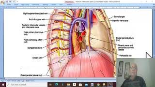 Respiratory Module 21  Azygos veins by Dr Wahdan [upl. by Attenoj984]