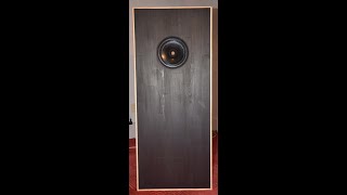 Visaton B 200 Open buffle speakers free [upl. by Nerat]