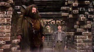 Harry Potter and The Prisoner of Azkaban movie left out the Diagon Alley scene harrypotter [upl. by Nnylaf]