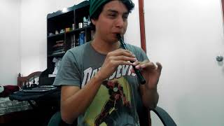 Las Chiapanecas  Tin Whistle [upl. by Ydospahr443]