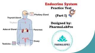 Endocrine System Quiz  Anatomy amp Physiology Review  Part 1 [upl. by Quince214]