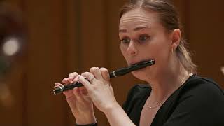 Britta Byström A Walk to Beethoven  Royal Northern Sinfonia [upl. by Hiro960]