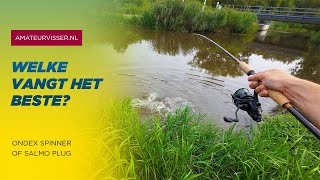 STRUINEND SNOEKEN met BLINKERS en PLUGGEN  Korte sessie 🎣🎣🎣 [upl. by Amikat]