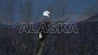 Alaska Bald Eagle Photography Tours Shot with the Nikon D850 in Slow Motion [upl. by Marius305]