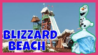 Explorando Disney’s Blizzard Beach Todo lo que debes saber de este parque acuático en WDW [upl. by Htebzil]