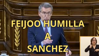 FEIJOO HUMILLA a SANCHEZ COMO si HICIERA FALTA [upl. by Dee Dee]