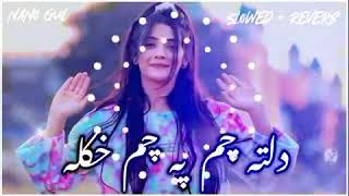 new song dalta cham pa cham khula new song 2022 [upl. by Hilda]