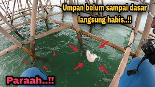 Sijabrig berulah bawakan minyak goreng kalau mancing disini [upl. by Oralla907]