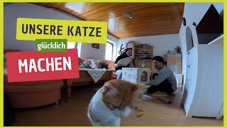 Neuer Katzenkratzbaum Aufbau und erste Eindrücke  Glückliche Katze glückliches Zuhause [upl. by Neyuh123]