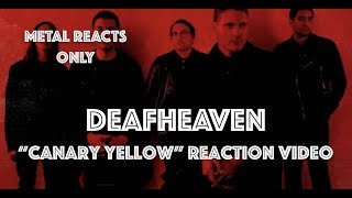 DEAFHEAVEN quotCanary Yellowquot Reaction Video  Metal Reacts Only  MetalSucks [upl. by Vange]