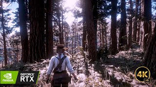 Red Dead Redemption 2 Fall 4K  Dynamic Seasonquotrdr2 rtx [upl. by Upshaw8]