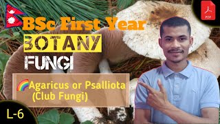 L6 Agaricus or Psalliota Club Fungi● BOTANY ● BSc First Year ● TU ● NEPAL 🇳🇵● By Sumit [upl. by Adnilev]