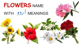 flower name  flowers name  10 flower name  name of flowers  mirhabbasitv [upl. by Lombardy]