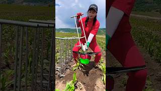 transplant seedling hole puncherviralvideo [upl. by Sucam]