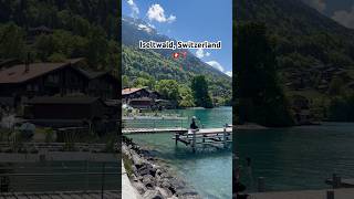 Iseltwald Switzerland 🇨🇭nature travel shorts shortvideo [upl. by Eizus]