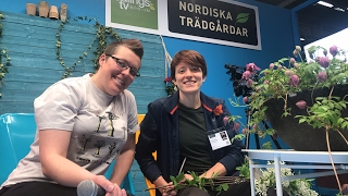 Vad är en Eplanta  Jenny Nilsson berättar om Eplantor  varför Norrland erbjuder fantastiska [upl. by Emoreg]