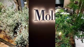 MolteniampCs 2022 New Collection Unveiled at Milan Design Week [upl. by Yentihw]