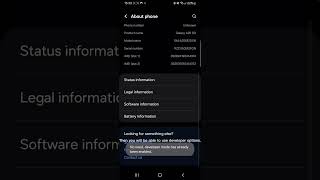 How to Enable Developer Options  Android [upl. by Naejeillib157]