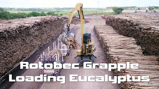 Rotobec grapple loading eucalyptus in Brazil [upl. by Gensmer39]