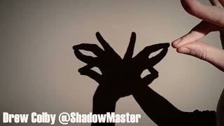 Beautiful Butterfly Hand Shadow Tutorial [upl. by Vitalis]