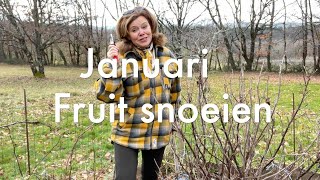 Inis Moestuin 83  In januari fruit snoeien Zoete aardappel opstarten amp hoe is het met de wormen [upl. by Oirretno]