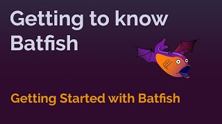 Getting Started with Batfish [upl. by Mcquade]