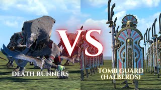 WARHAMMER III Total War  Death Runners VS Tomb Guard Halberds [upl. by Nileak4]