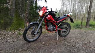 Motorrad  Motorcycle 🔥 Beta Alp 200 on Tour 20190414 im Wald 2 [upl. by Barty]