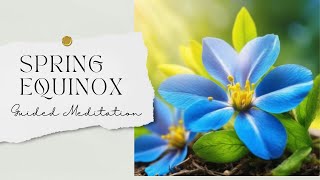 Spring Equinox Timeless Guided Meditation [upl. by Aryk184]