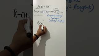 2 4 dnp test for aldehydes and ketonesshorts jee neet [upl. by Scarito]