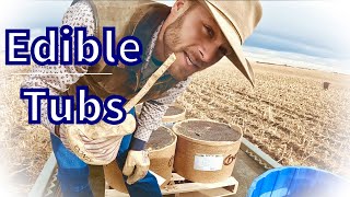 Biodegradable Protein Tubs amp Exploring An Abandoned Farmstead [upl. by Worthy691]