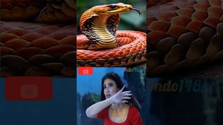 NAAGIN vs NAAGIN 6🐍🐍🐍💝💖💗💓 shorts [upl. by Zachery564]