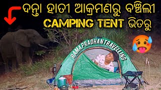 ଦନ୍ତା ହାତୀ ଚକୁଡାରୁ ବଞ୍ଚିଲୀ night campingରେ 🥵🏕️elephant attack to solo campingsolocamping vlog [upl. by Werra]