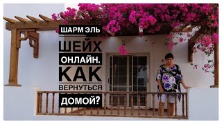 Шарм эль Шейх онлайн Как вернуться домой [upl. by Damas]