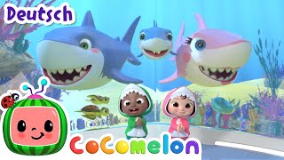 Babyhai  CoComelon Deutsch  Cartoons und Kinderlieder [upl. by Masera316]