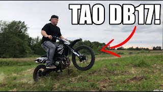 Jumping The 600 Tao Tao DB17 125 Dirt Bike [upl. by Aimahs910]