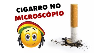 🟠 Cigarro no microscópio 👉 Nos Mínimos Detalhes [upl. by Rettuc779]