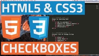 HTML5 and CSS3 beginner tutorial 38  Checkboxes and Radio buttons [upl. by Naesad]