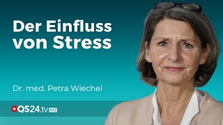 Unser Immunsystem in Gefahr Der Einfluss von Stress  Teil 41  Dr med Petra Wiechel  QS24 [upl. by Pegg]