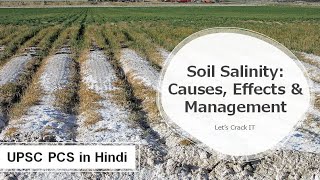 What is Soil Salinization Causes Impact Management Prevention of Saline soil  UPSC PCS in Hindi [upl. by Misha]