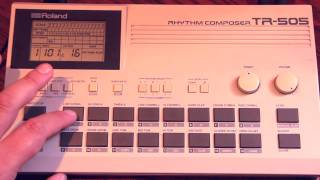 Roland TR505 demo [upl. by Yehudit741]