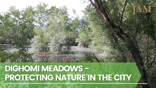 The tragedy of Dighomi Meadows in Tbilisi [upl. by Maclay782]